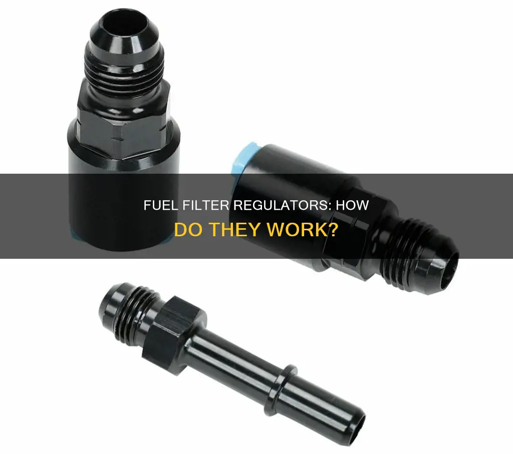 what is a fuel filter regulator