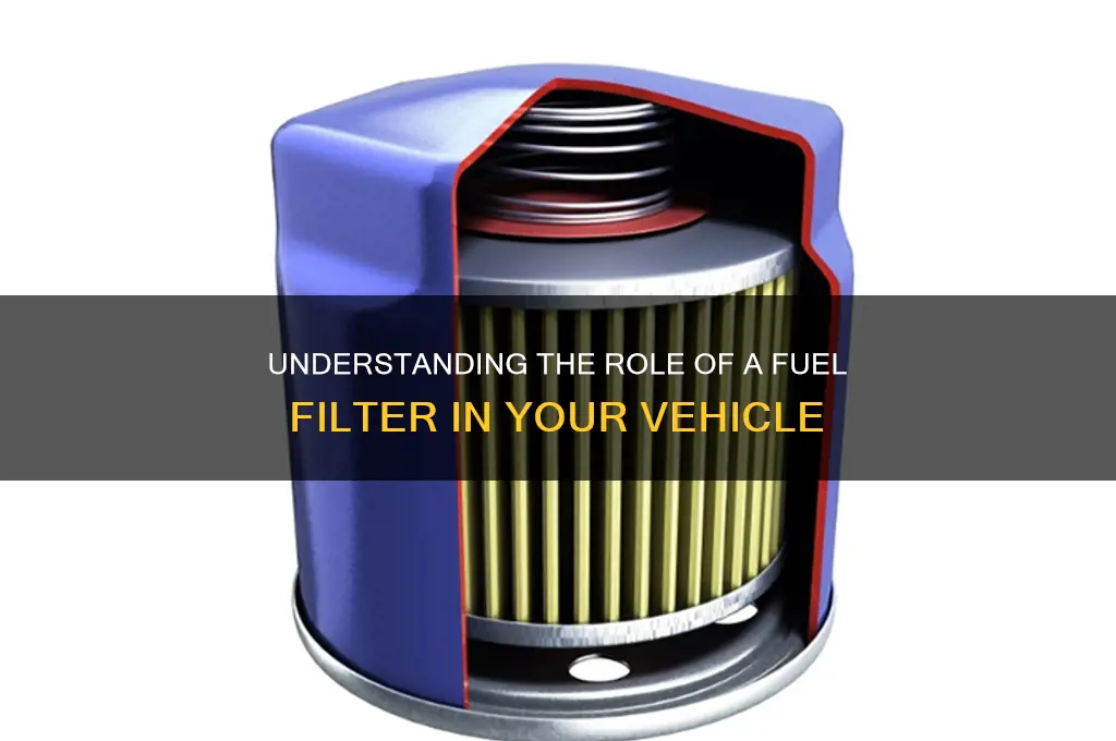 what is a fuel filter used for