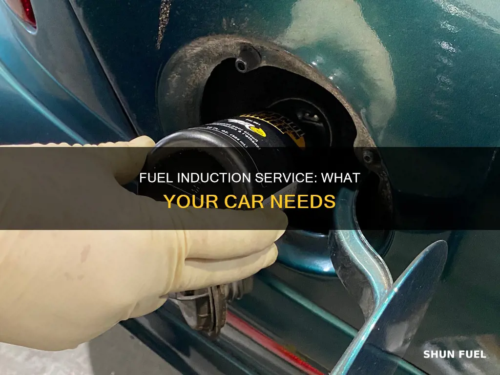 what is a fuel induction service on a car