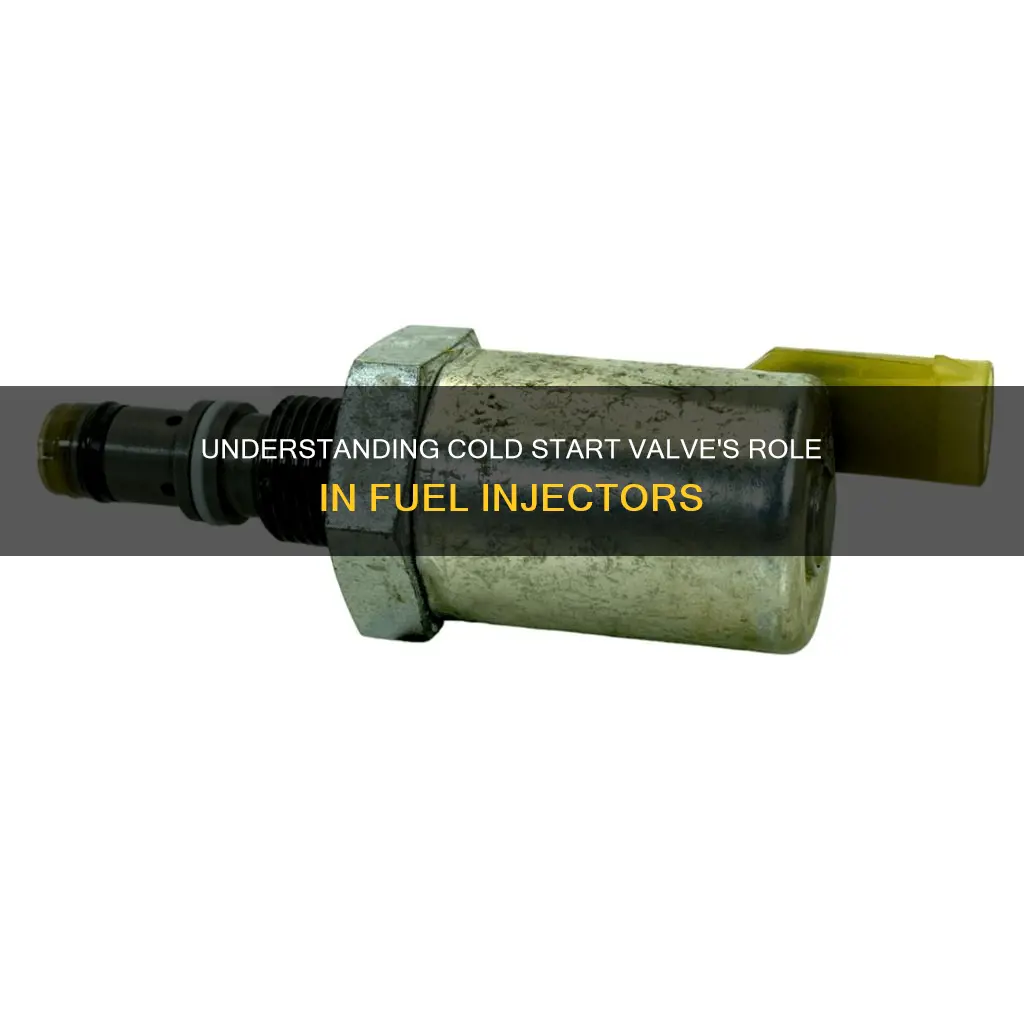 what is a fuel injector cold start valve