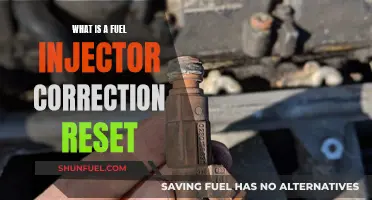 Fuel Injector Correction Reset: What You Need to Know