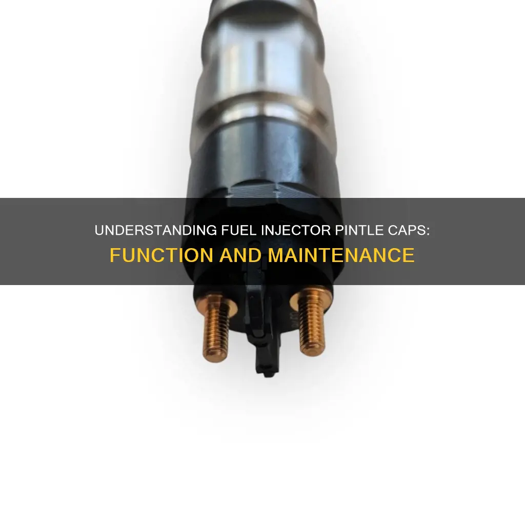 what is a fuel injector pintle cap