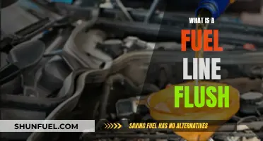 The Importance of Fuel Line Flush for Your Car