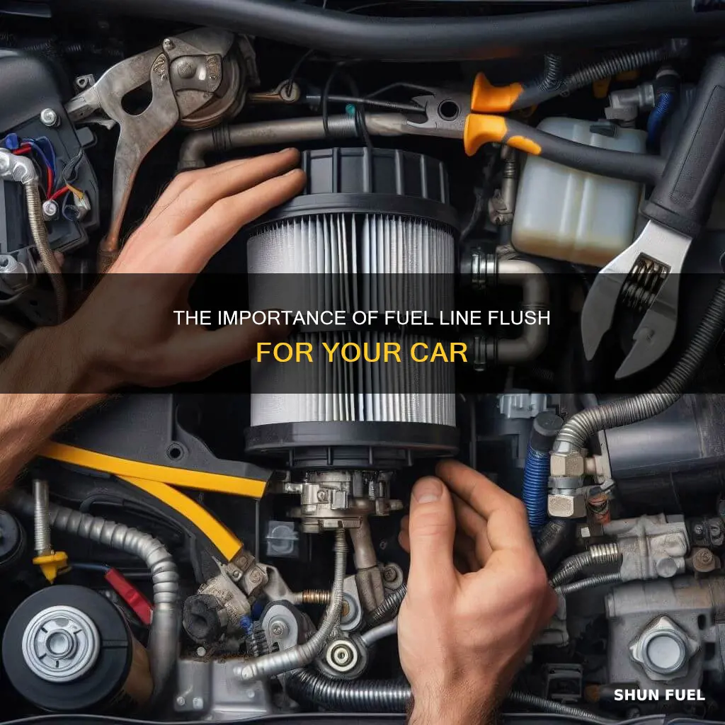 what is a fuel line flush