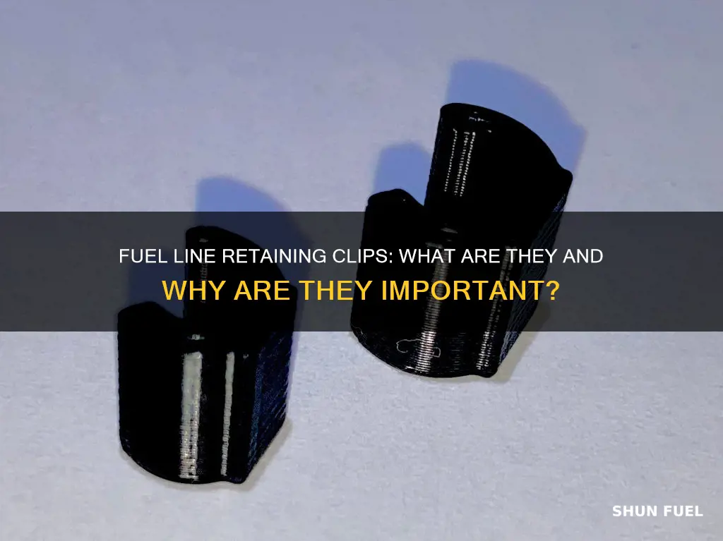 what is a fuel line retaining clips