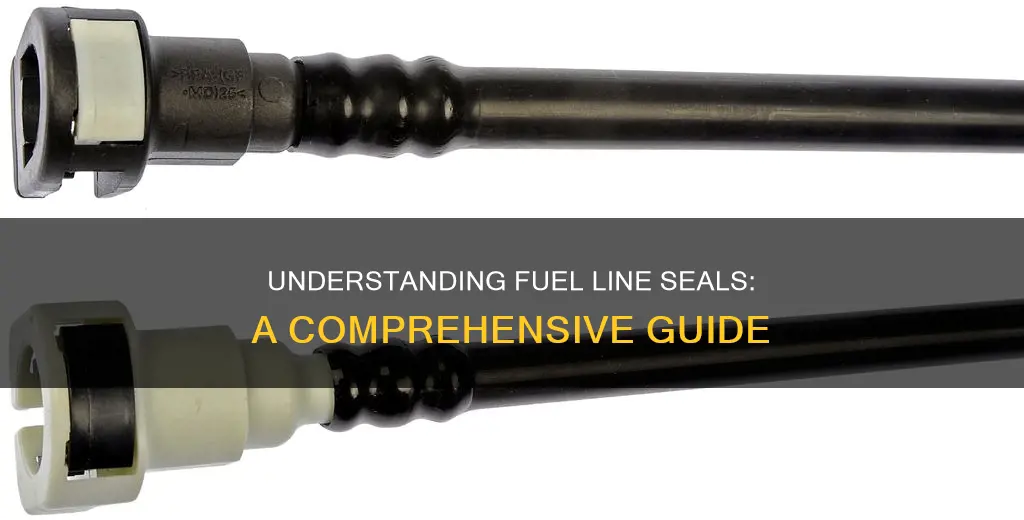 what is a fuel line seal