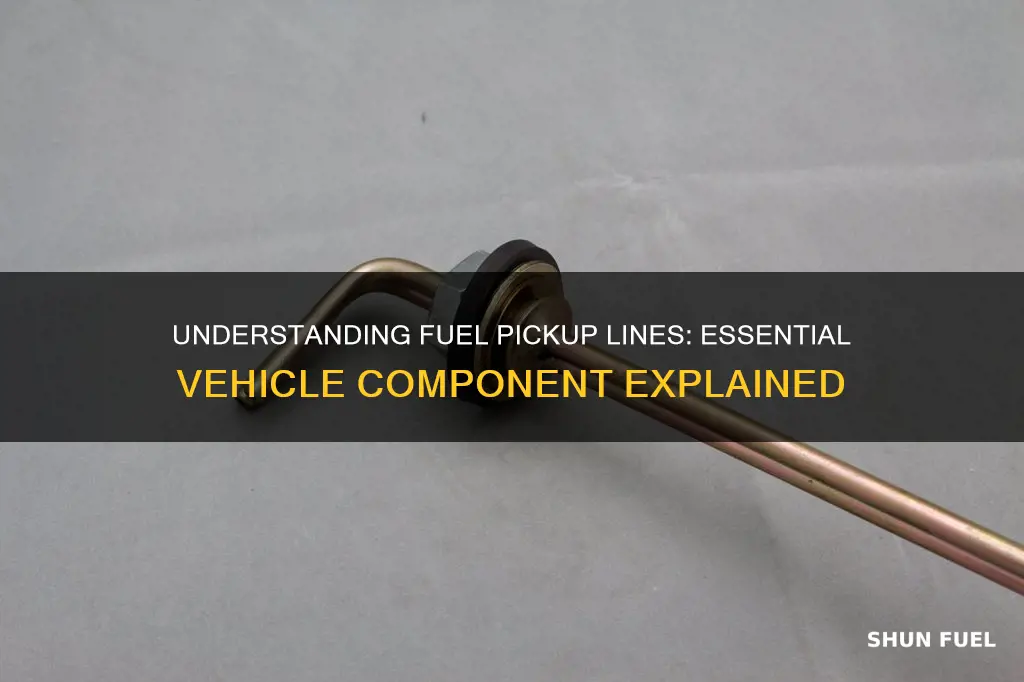 what is a fuel pickup line