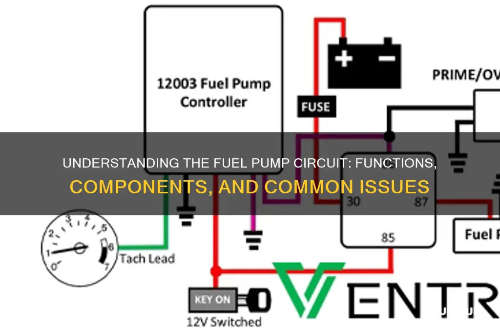 what is a fuel pump circuit