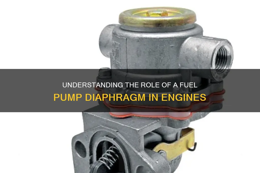 what is a fuel pump diaphragm