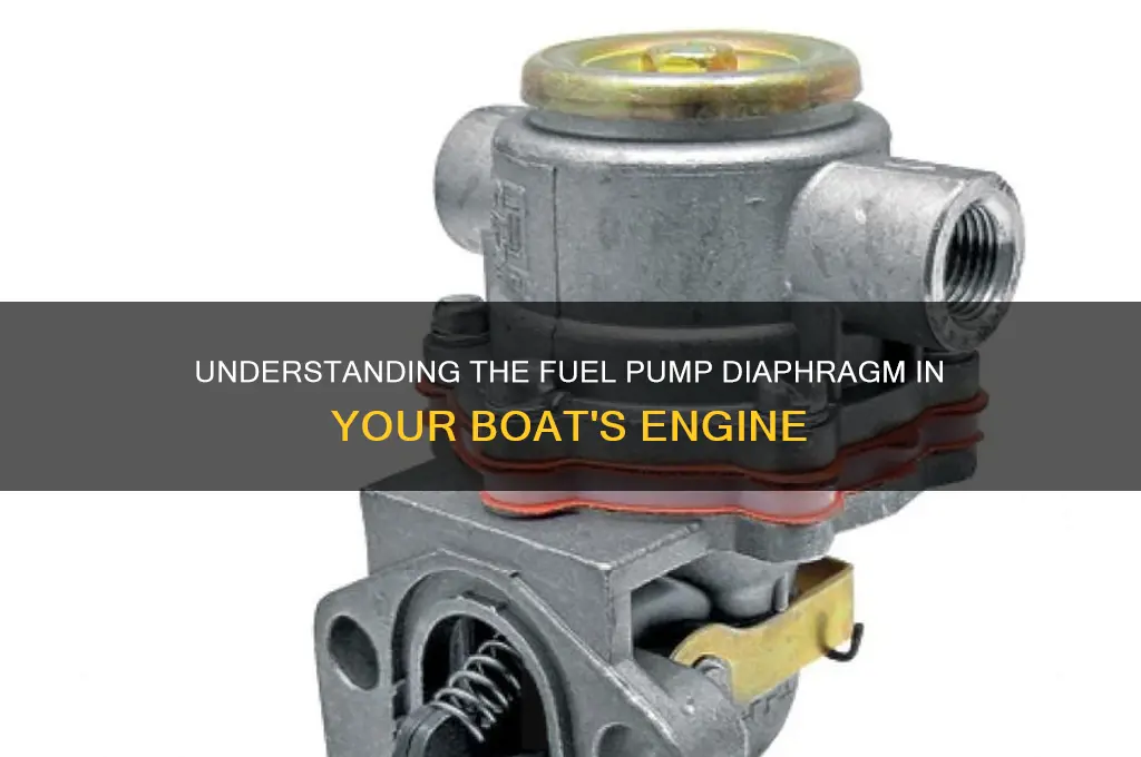 what is a fuel pump diaphram in a boat