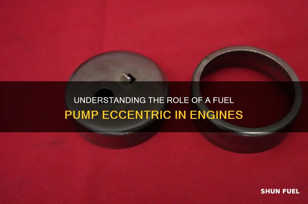 what is a fuel pump eccentric