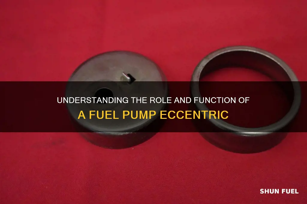 what is a fuel pump escentric
