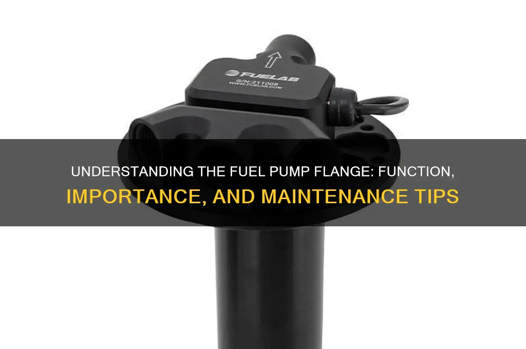 what is a fuel pump flange