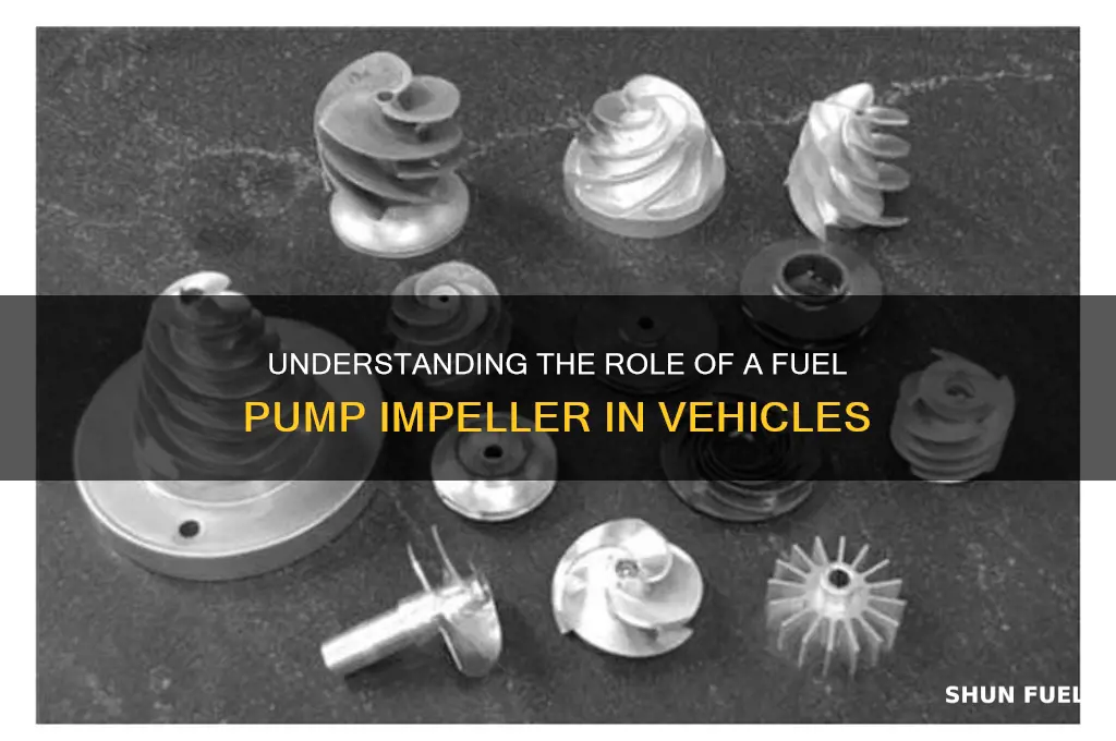 what is a fuel pump impeller
