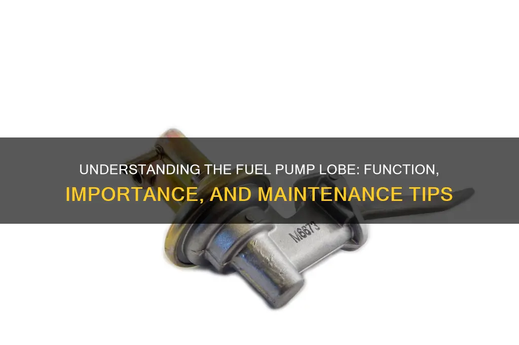 what is a fuel pump lobe