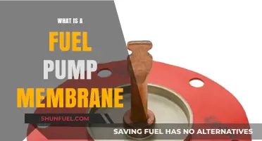 Understanding the Role and Function of a Fuel Pump Membrane