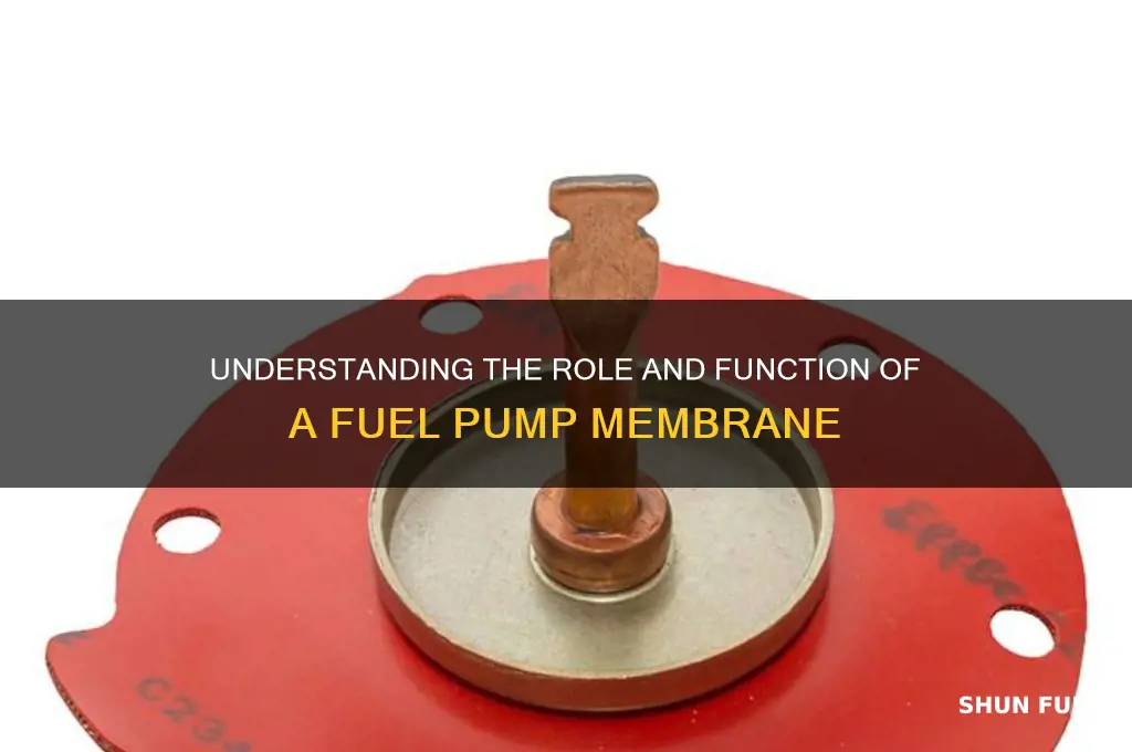 what is a fuel pump membrane