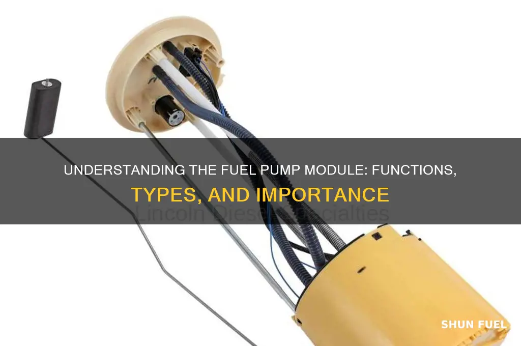 what is a fuel pump module