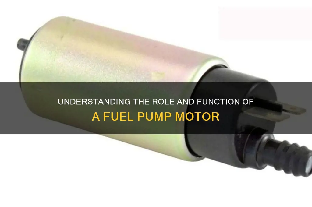 what is a fuel pump motor