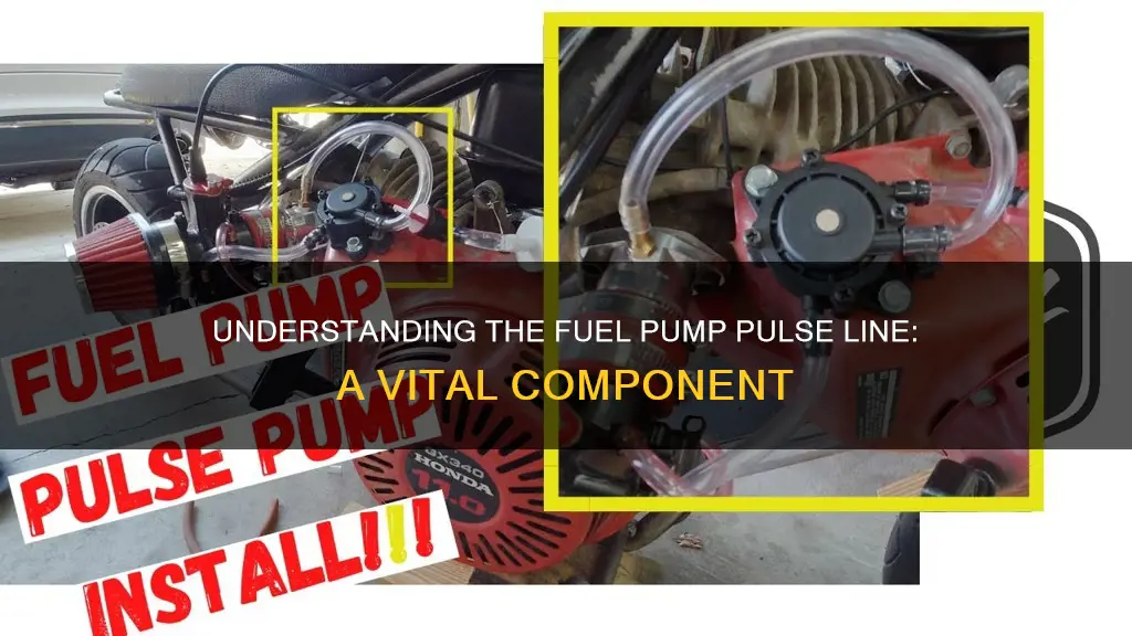 what is a fuel pump pulse line