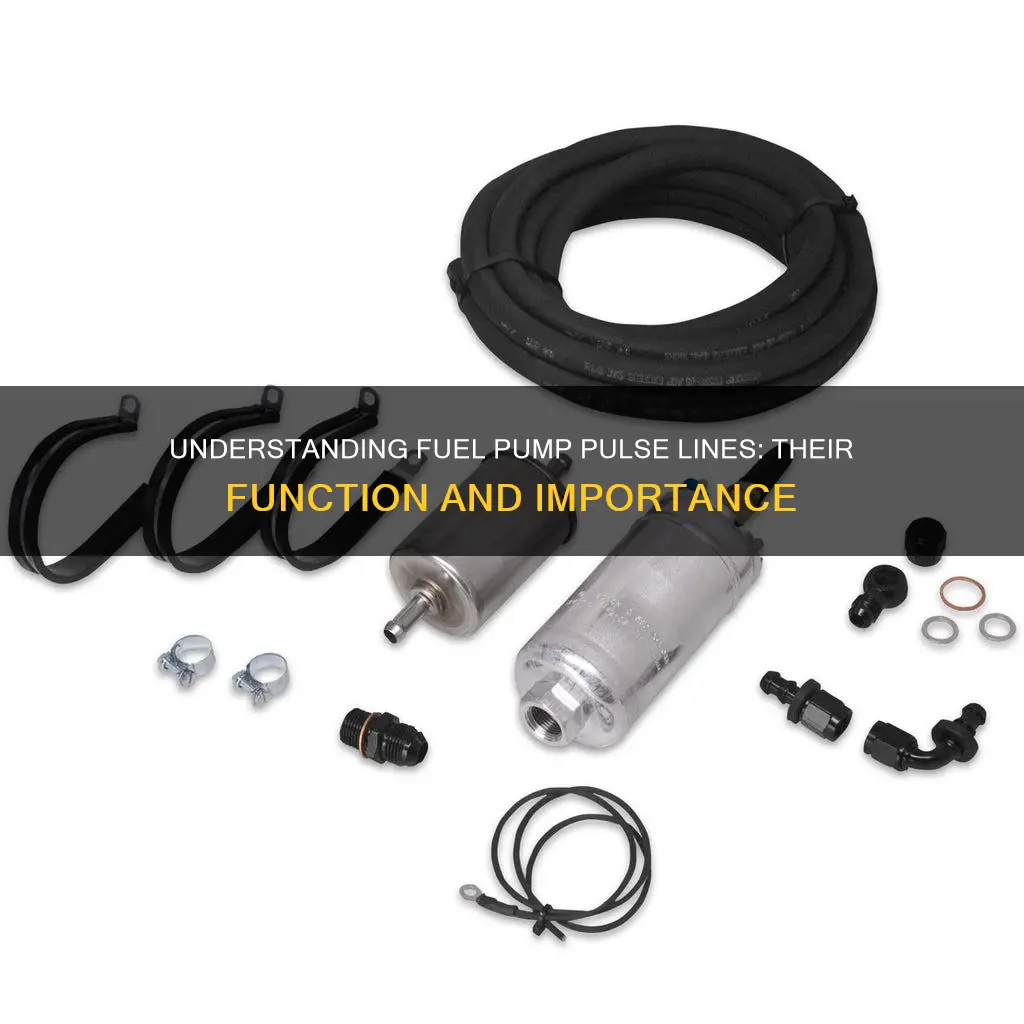 what is a fuel pump pulse line
