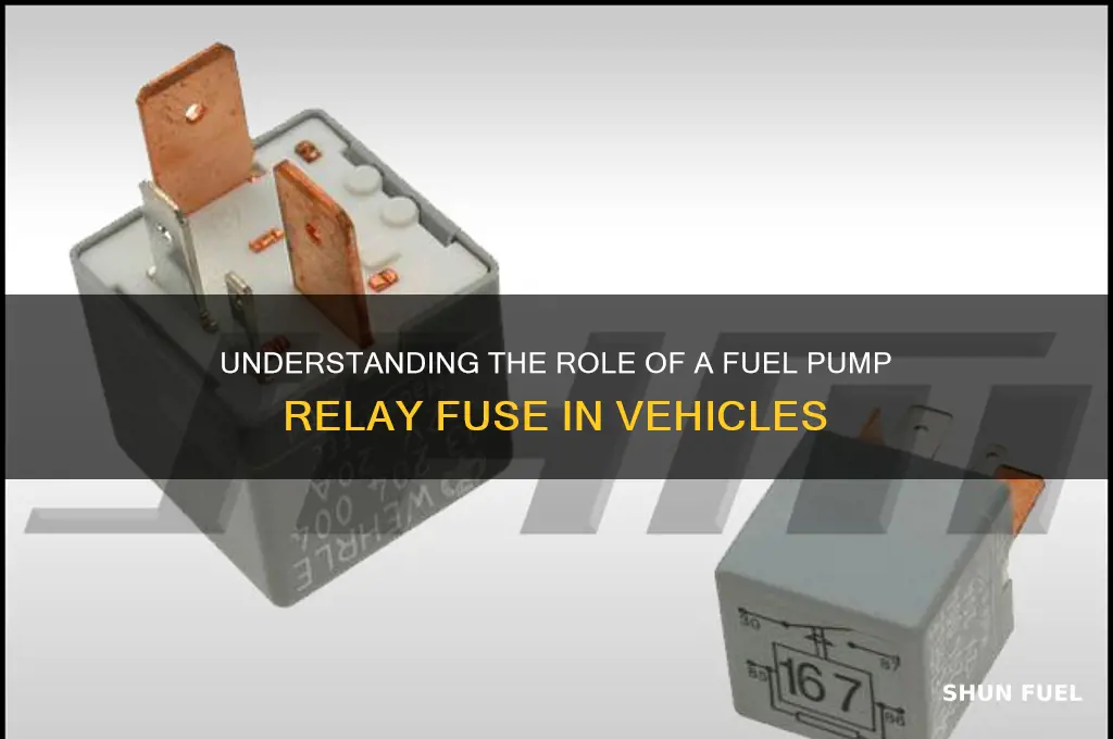 what is a fuel pump relay fuse
