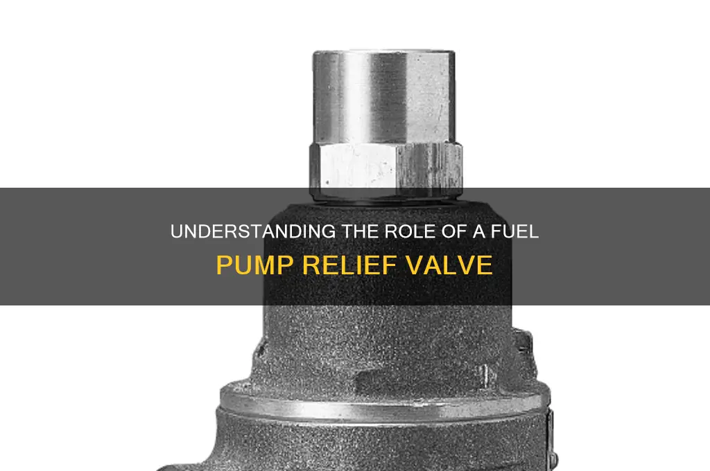 what is a fuel pump relief valve