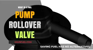 Understanding the Fuel Pump Rollover Valve: Function and Importance