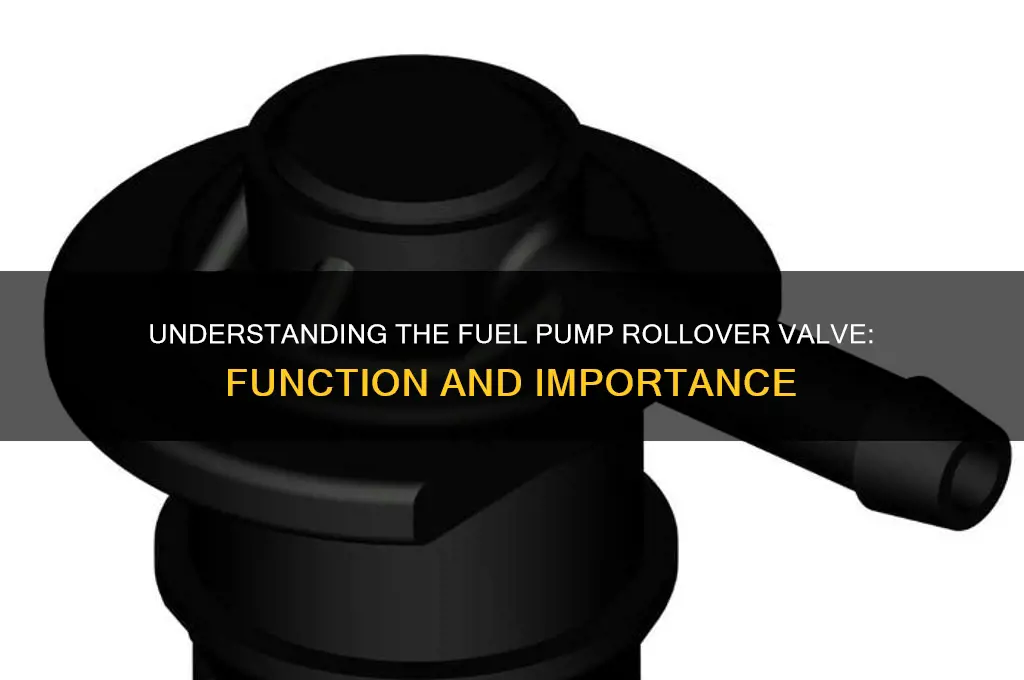what is a fuel pump rollover valve