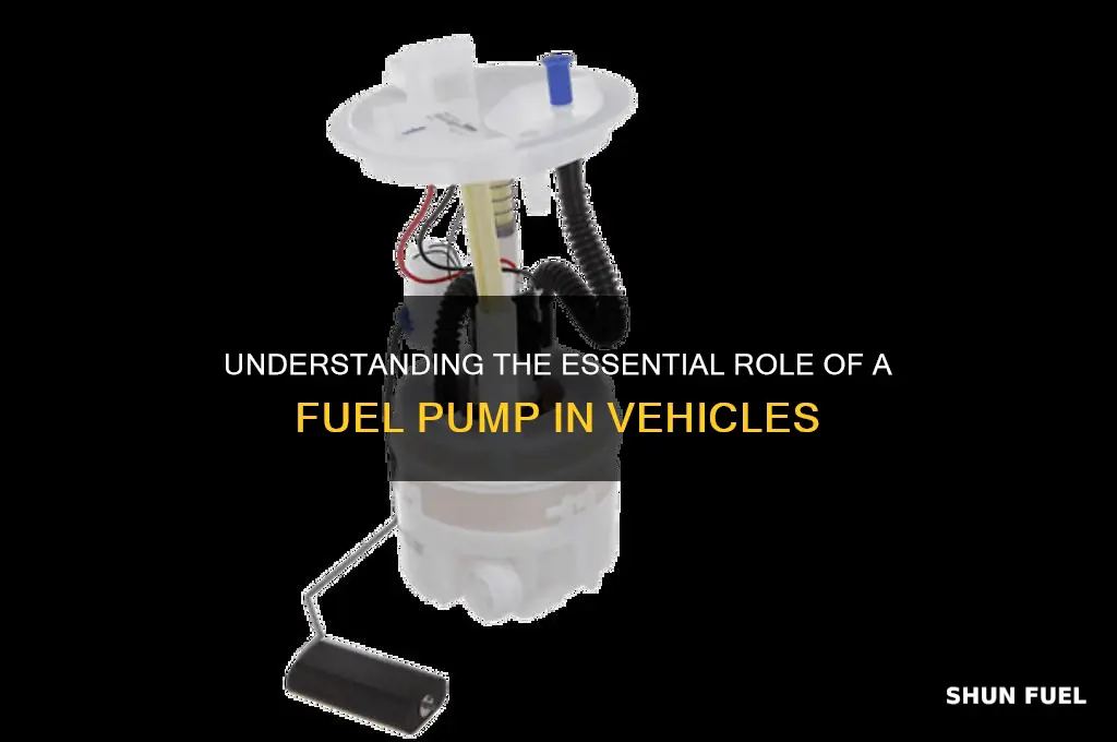 what is a fuel pump used for