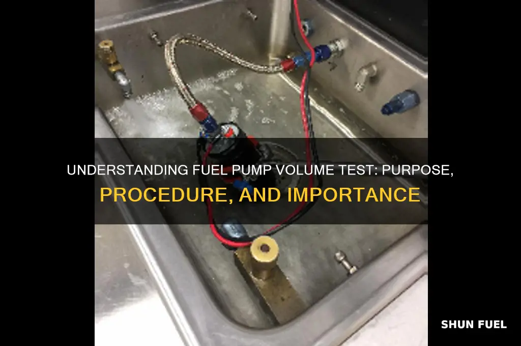 what is a fuel pump volume test