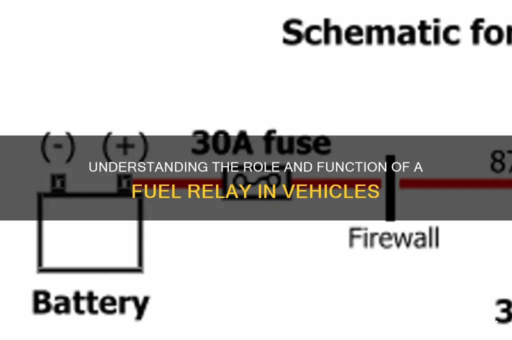 what is a fuel relay