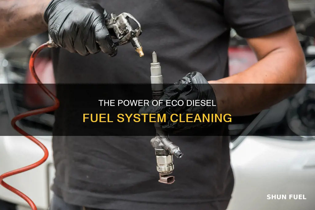 what is a fuel system clean on a eco diesel