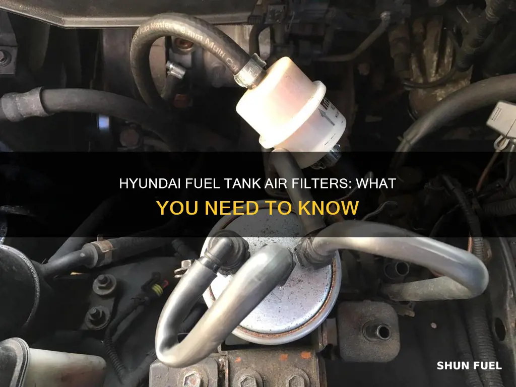 what is a fuel tank air filter in a hyundai