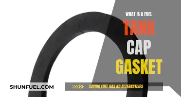 Fuel Tank Cap Gasket: What's Its Function?