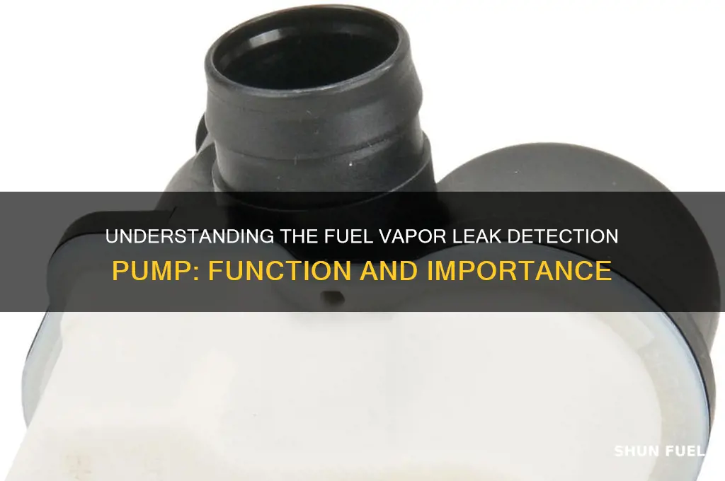 what is a fuel vapor leak detection pump