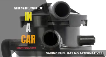Fuel Vapor Leaks: Understanding Car Maintenance