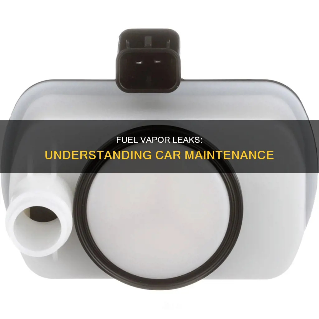 what is a fuel vapor leak in a car