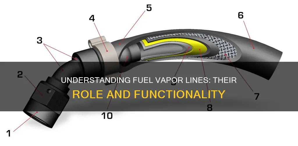 what is a fuel vapor line