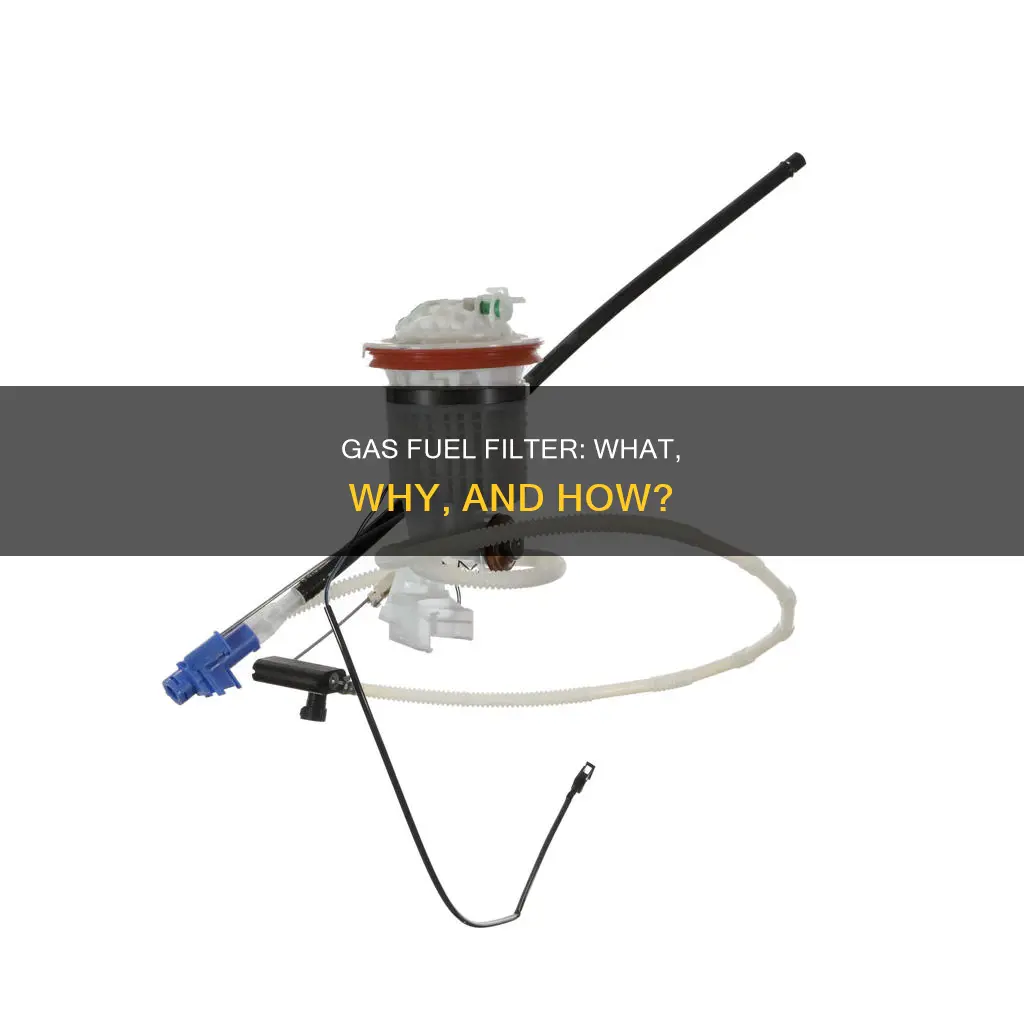 what is a gas fuel filter