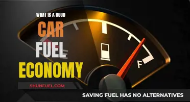 Fuel Efficiency: Choosing Cars with Good Economy