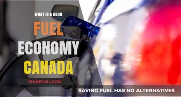 Understanding Canada's Fuel Economy Standards for Efficient Vehicles
