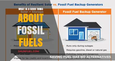 Fossil Fuels' Surprising Benefits: Energy Reliability and Economic Growth Explained
