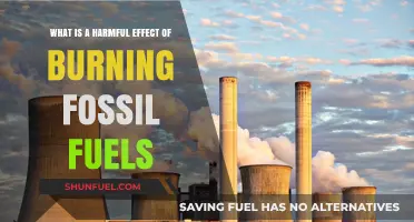 Burning Fossil Fuels: Unveiling the Devastating Impact on Our Planet