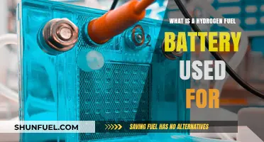 Hydrogen Fuel Cells: Applications and Uses in Modern Technology