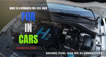 Powering the Future: Hydrogen Fuel Cells in Automotive Innovation