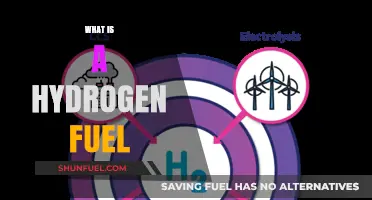 Understanding Hydrogen Fuel: Clean Energy Potential and Applications