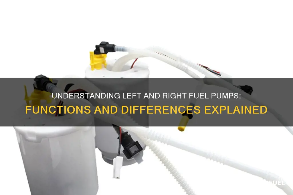 what is a left and right fuel pump