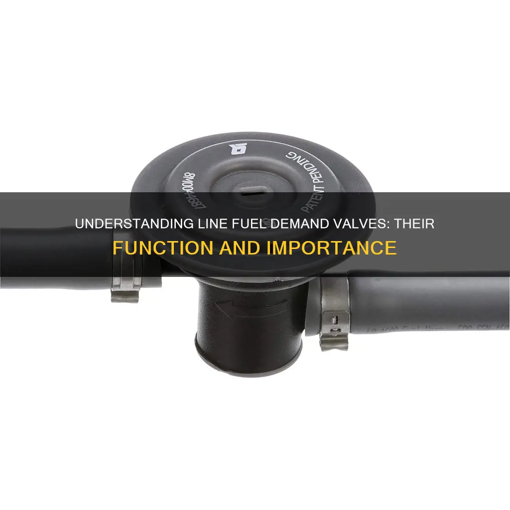 what is a line fuel demand valve