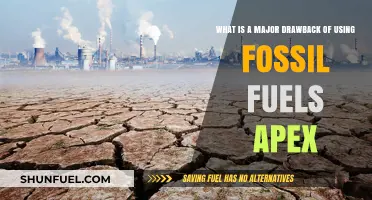 Fossil Fuels' Critical Flaw: Environmental Impact and Unsustainable Future